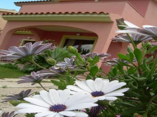 Ariedo Bed And Breakfast Capoterra Pokój zdjęcie